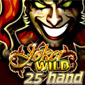 5 Hand Joker Wild Video Poker