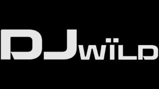 DJ Wild - ELK Studios - neue Spiele - Mega Gewinn