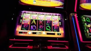 Eltorero | MEGA 2 LINIEN VOLL!!! - Casino Magie #272