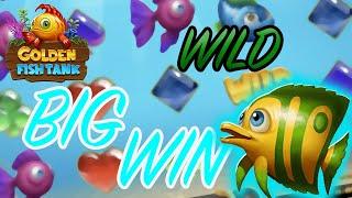Golden Fish Tank • Wild Big Win Online Slot 2020