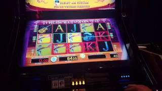 Eltorero | TJA, ES LÄUFT NICHT IMMER GUT!- Casino Magie #241