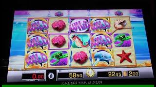 Merkur Magie Dolphins Moon Risikospiel mit Freispielgewinn auf 2€ Glücksspielsession am Spielautomat