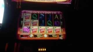 Eltorero | I LOVE IT! - Casino Magie #110