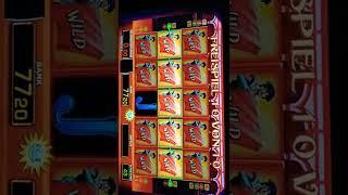 •EL TORERO•Wilds beinahe Vollbild•