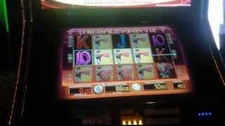 Eltorero | WAS WILL MAN MEHR? - Casino Magie #116