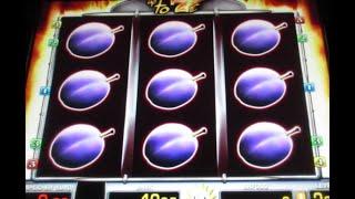 Kunterbunt Gezockt! Von Wild Frog über Roman Legion bis zu Mystic Dew! Jackpotjagd am Spielautomat!