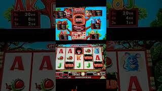 GINGER JUMPERS Risikospiel auf 2€! Merkur Magie Spielothek 2022