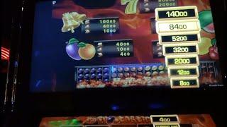 • HOT Frootastic • Multi Wild & Freispiele! PLUS