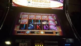 Eltorero |  MAL WIEDER SPANNUNG PUR !!!- Casino Magie #185