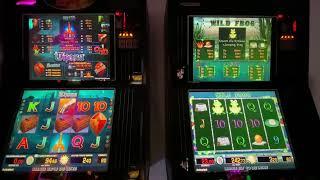 •Homespielo Zocken Tizona  vs •Wild Frog• Schöne Wins Spielhalle Geldspielgerät Casino Spielothek••