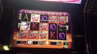Eltorero | 5.Runde voll DIE RETTUNG! - Casino Magie #201