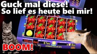 4 € fach Spielothek von Pferden • & Katzen • 2021 Merkur Novoline Spielautomaten Casino slots Bally
