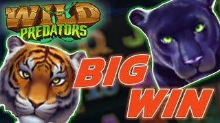 WILD PREDATORS • Big Slot Machine Win