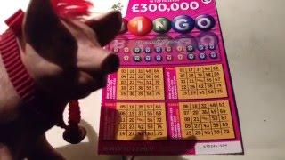 Scratchcard Bingo & Super 7's...You can Vote For 2 Different BIG DADDY Millionaire Cards