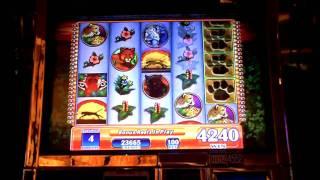 Tigers Realm a WMS game slot machine bonus win at Parx