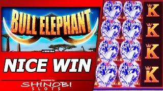 Bull Elephant Slot - Nice Win, Free Spins Bonus