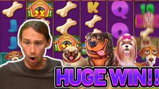 HUGE WIN!!! DOG HOUSE MEGAWAYS BIG WIN - €5 bet on Casino slot from CasinoDaddys stream