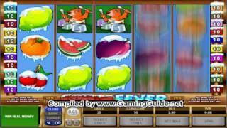 All Slots Casino Cabin Fever Video Slots