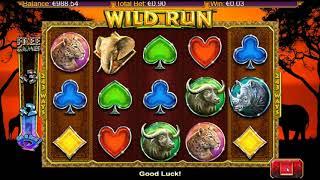 Wild Run•