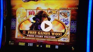 FIRST LOOK Buffalo Gold Slot -3 Bonus Tries -Aristocrat