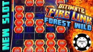 •NEW SLOT! Ultimate Fire Link Forest Wild •HIGH LIMIT GREAT SESSION $30 BONUS ROUND •