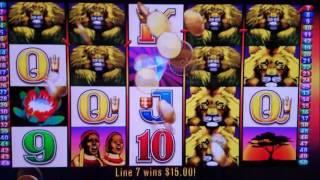 50 Lions Slot Machine Bonus $75 MAX BET