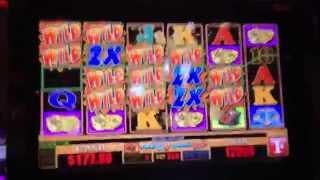 New Dynamite Mega Big Win