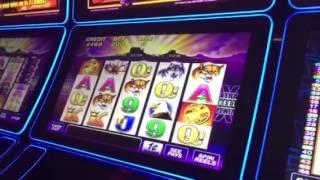 Buffalo Slot Machine Live Play Lucky Eagle Casino