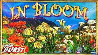 In Bloom Slot Machine, It's Spring!!!
