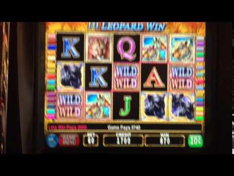 Cats Line Hit Big Win 10 cents machine $6 bet ** SLOT LOVER **