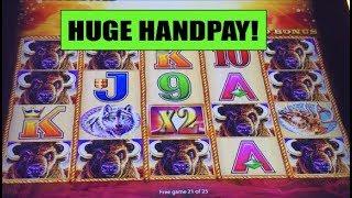 • HUGE HANDPAY • on Buffalo Gold • slot machine + 2 big wins on Can Can Slot Machine
