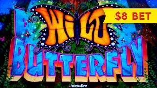 Wild Butterfly Slot - $8 Max Bet - LIVE PLAY BONUS, NICE!