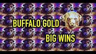 Buffalo Gold: Winning session $6 spins!