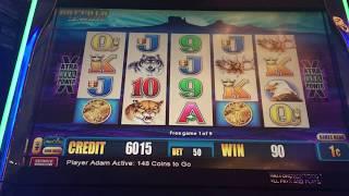 BIG WIN - Buffalo Deluxe Slot Machine - my most spins ever!
