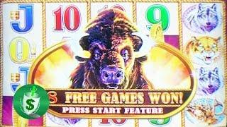 Buffalo Gold slot machine, DBG #19