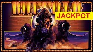 JACKPOT HANDPAY! Buffalo Slot - $10 Bet - DRAMATIC BONUS, AWESOME!