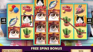 GRUMPY CAT Video Slot Casino Game with a GUMPY CAT FREE SPIN BONUS