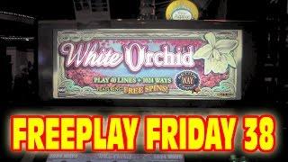 White Orchid - Slot Machine Live Play - FREEPLAY FRIDAY 38