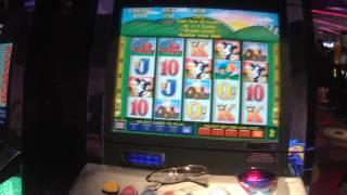 Milkin' It slot machine Live Play max bet with bonus and BIG WIN