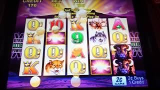 2c Buffalo - *BIG WIN* Free Games
