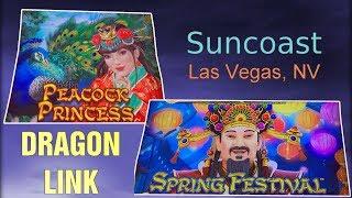 Aristocrat Princess Peacock / Spring Festival - In Vegas !