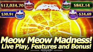 Meow Meow Madness Slot - Cute But Tough! Free Spins, Jackpot Picking and Hold and Spin Features!
