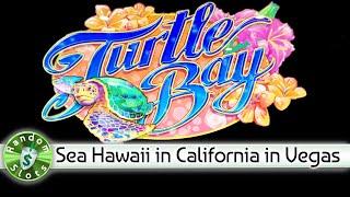 Turtle Bay slot machine