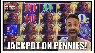 JACKPOT HANDPAY on PENNIES! Fastest jackpot ever! Buffalo Link Slot Machine
