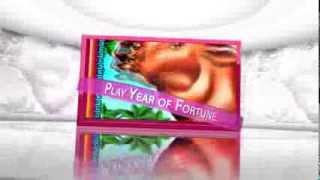 Win at Year of Fortune Slot Machine with this Slots of Vegas Tutorial
