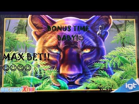 O-M-G Prowling Panther | MAX BET Slot Machine Bonus | 16 Games