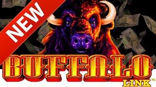 NEW Buffalo Link Slot Machine! ⋆ Slots ⋆Upto $30.00 Bets!