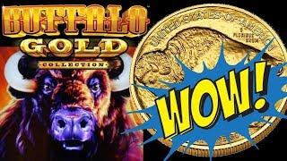 He Got Them HEADS!  Buffalo Gold Slot Machine * BIG WIN! | Casino Countess
