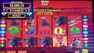 BIG RED Slot Machine Bonus Won & Line Hit ! Live Slot Play
