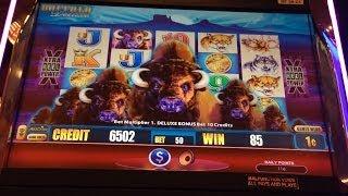 Aristocrat's Buffalo Deluxe Slot Machine Bonus, Nice Win